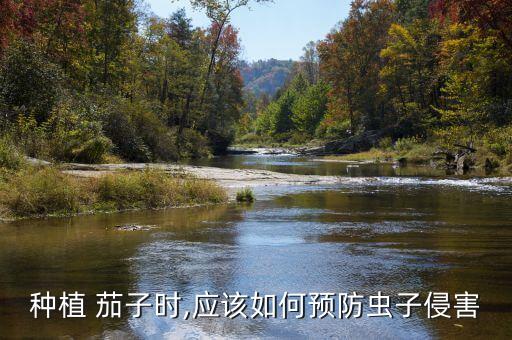 茄子為什么要打農(nóng)藥,茄子打農(nóng)藥嗎...
